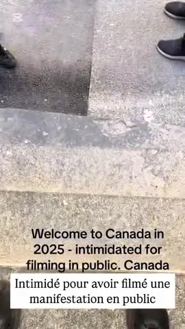 SANDNIGGER SHITSKINS IN MONTREAL TRY TO INTIMIDATE LOCAL GUY FILMING THEIR NIGGER ANTIFA FAG SHIT