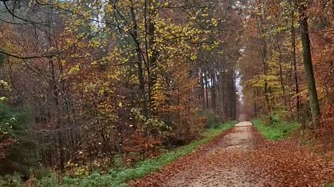 The morals of manufactured scarcity, unnecessary suffering, and meritocracy,...