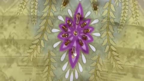 Evara AJR Digital Collection