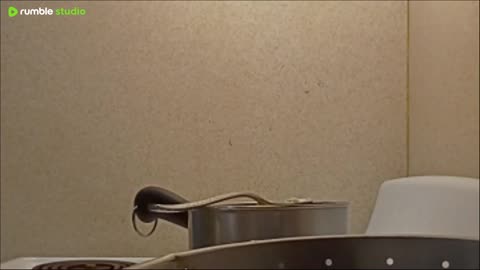 swiss potato au gratin