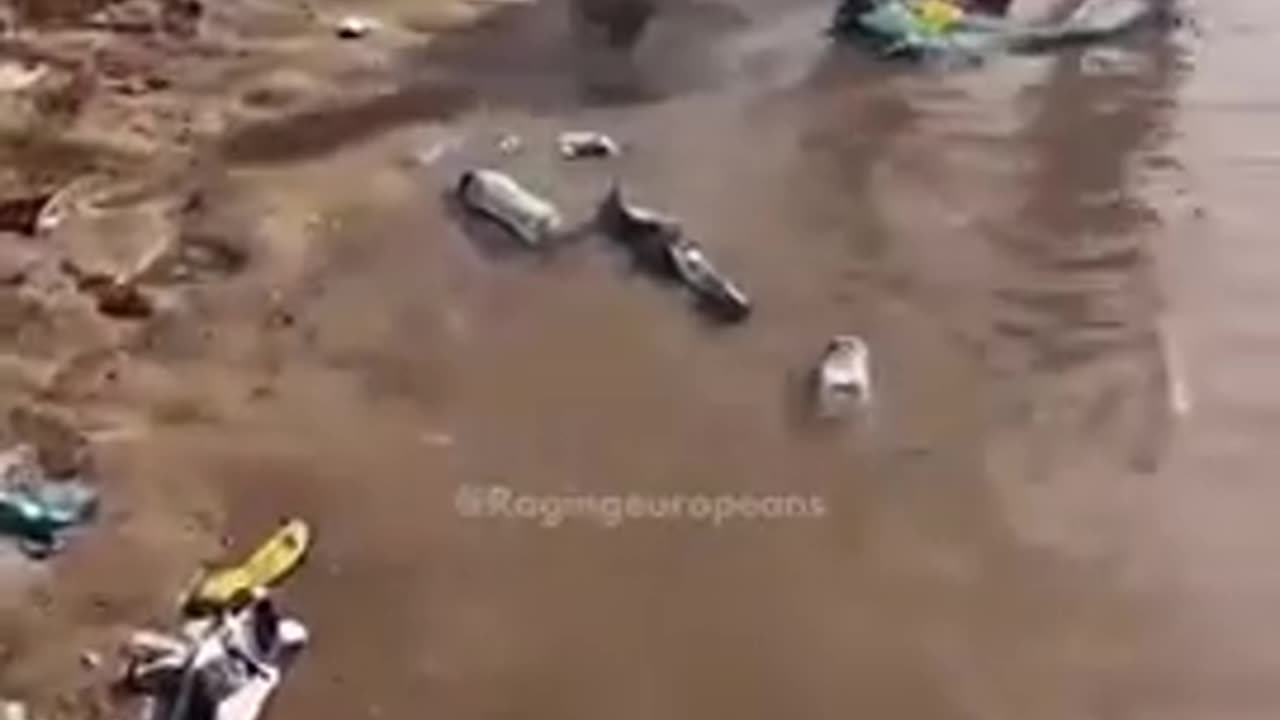 beaches in Belgium totally niggered