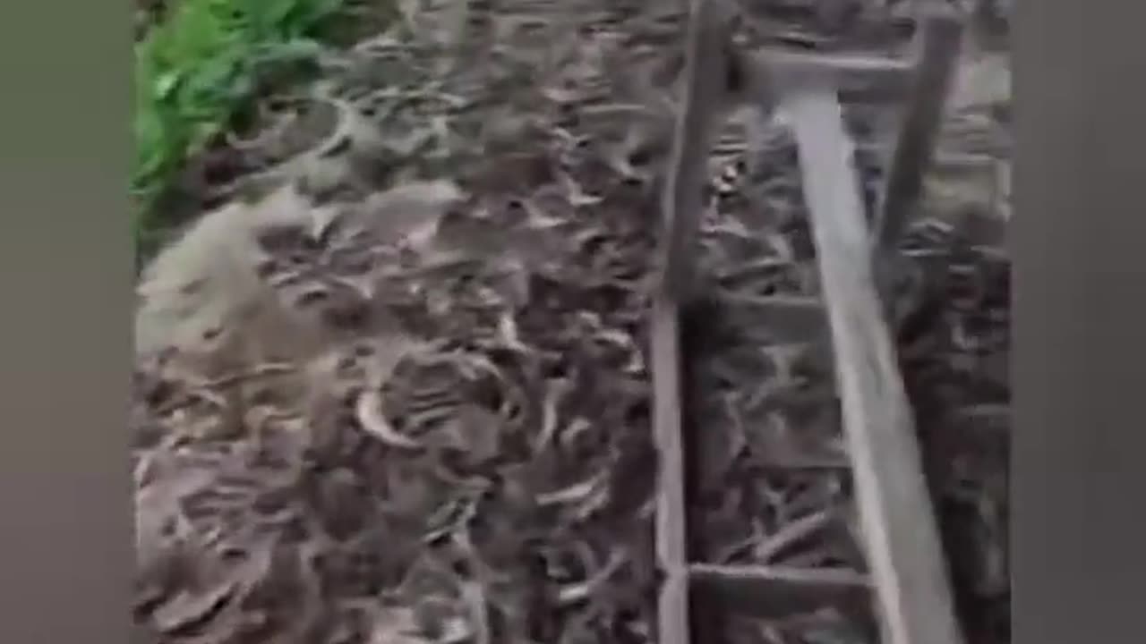 🎖️🔥 Myanmar War | Kayan Army Clashes in Mobye | RCF