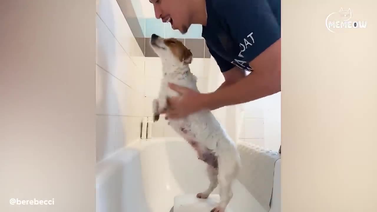When your dog sees you as its whole world 🌍🤣