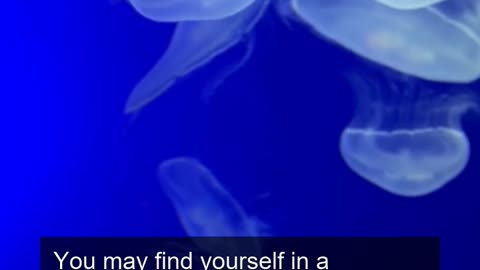Daily Horoscope | Pisces 🌟