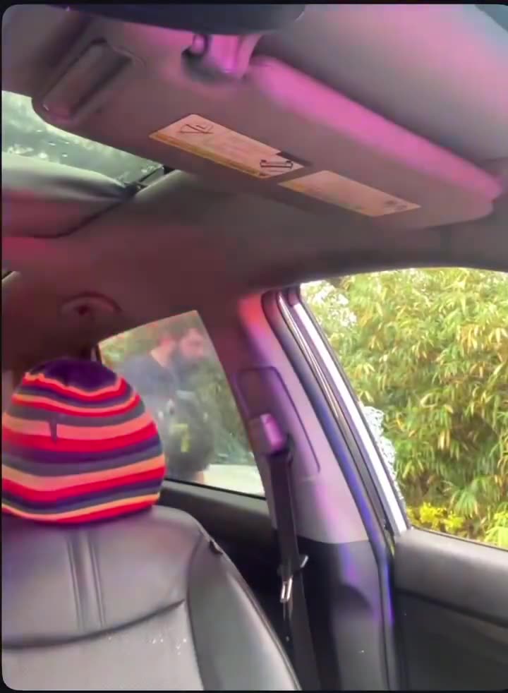 Police officer breaks unarmed mans window, punches & slams him on his face after pulling him over