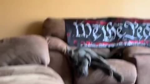 Doesn't Like Aliens
