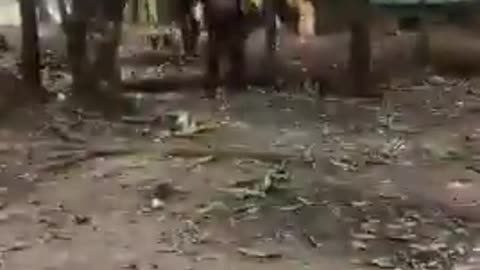 ⚔️🔥 Myanmar War | PDF Fighters Launch Assault on Junta Troops | RCF