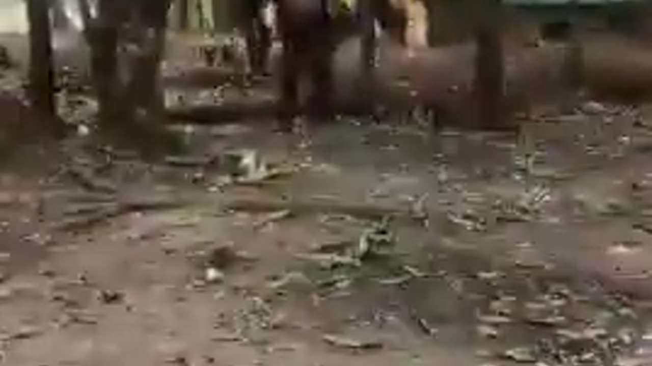 ⚔️🔥 Myanmar War | PDF Fighters Launch Assault on Junta Troops | RCF