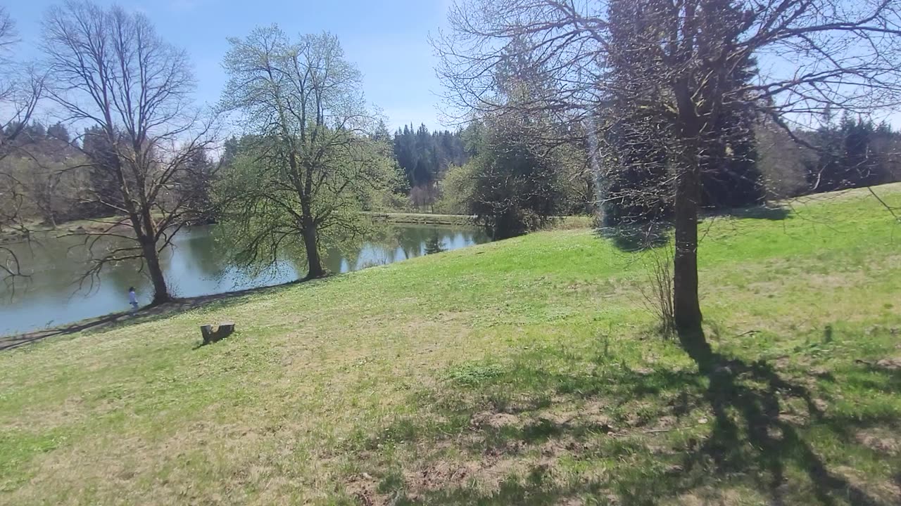 Reset2024-zmartwychwstanie.
