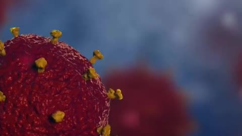 The-Science-Behind-5-Common-Myths-and-Misconceptions