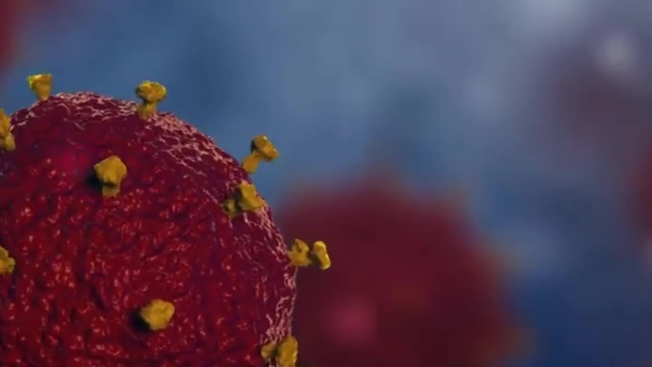 The-Science-Behind-5-Common-Myths-and-Misconceptions