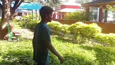 Money and guns can solve all problem