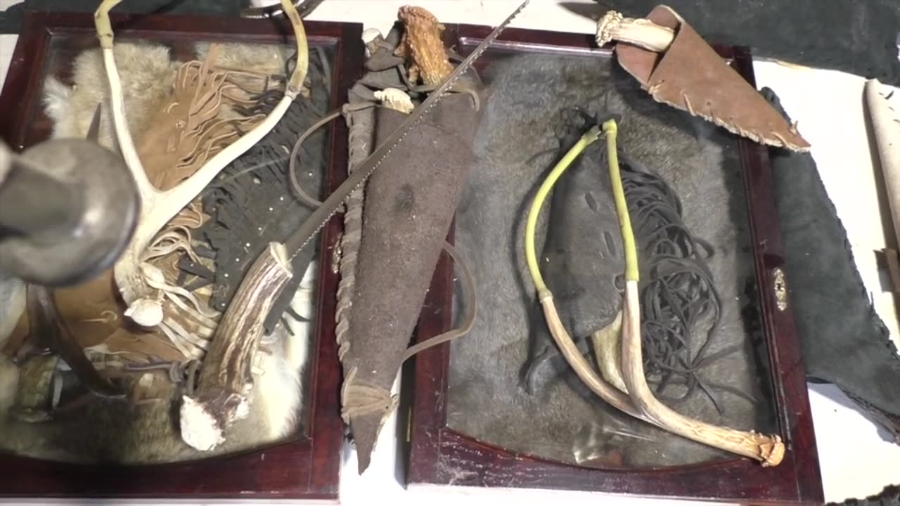 SHED ANTLER BUYER