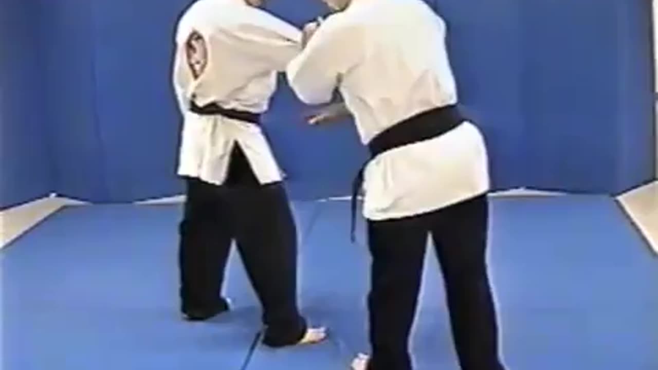 Shinsei Hapkido