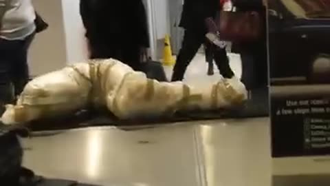 😱🛩️ Imagine Picking Up Your Luggage and You See This! | FunFM
