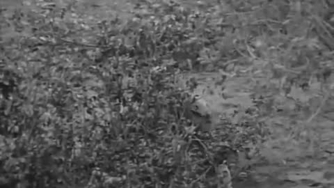 Must Watch: COMBAT! s.3 ep.25: "The Long Wait" (1965)