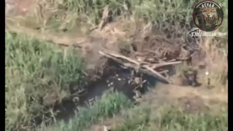 Russian Soldier is Defeated by a Piece of Wood