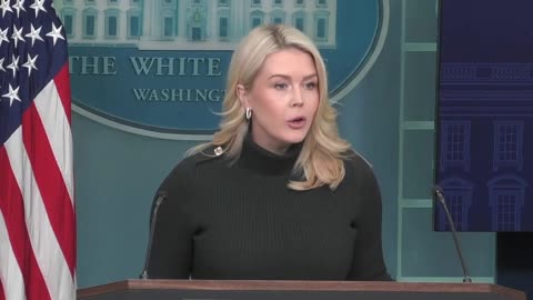 Karoline Leavitt puts the situation in Minnesota in terms reporters can understand