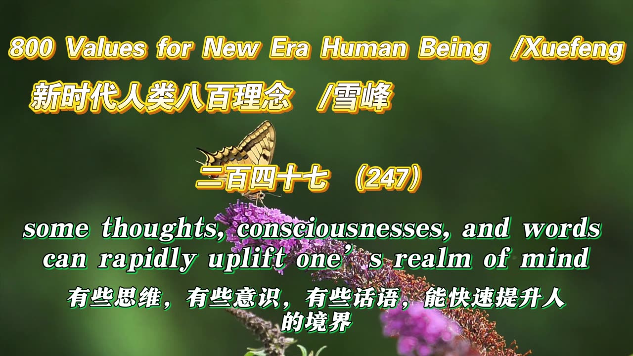 800 Values for New Era Human Being(247)
