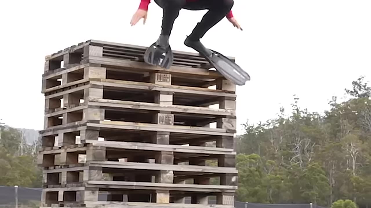 If animals did parkor