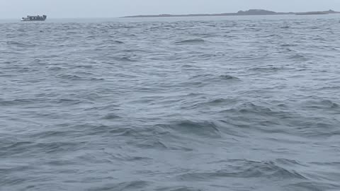 Alaska