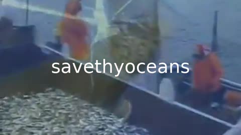 Our Oceans Are Dying - Save The Ocean