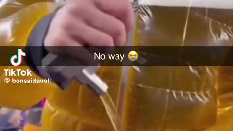 Fresh Pint Straight from the Jacket