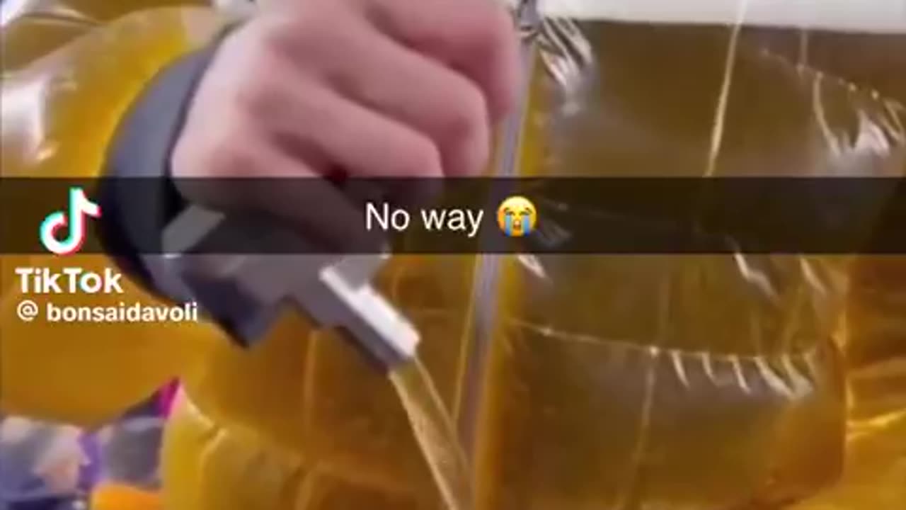 Fresh Pint Straight from the Jacket