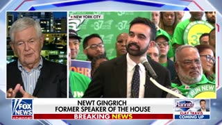 SPEAKER'S PREDICTION: Gingrich Says Schumer, Jeffries Will Both Endorse Marxist Mamdani
