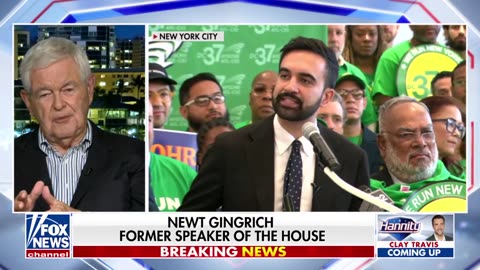SPEAKER'S PREDICTION: Gingrich Says Schumer, Jeffries Will Both Endorse Marxist Mamdani