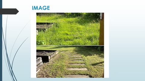 Best Garden Maintenance in Cairns North