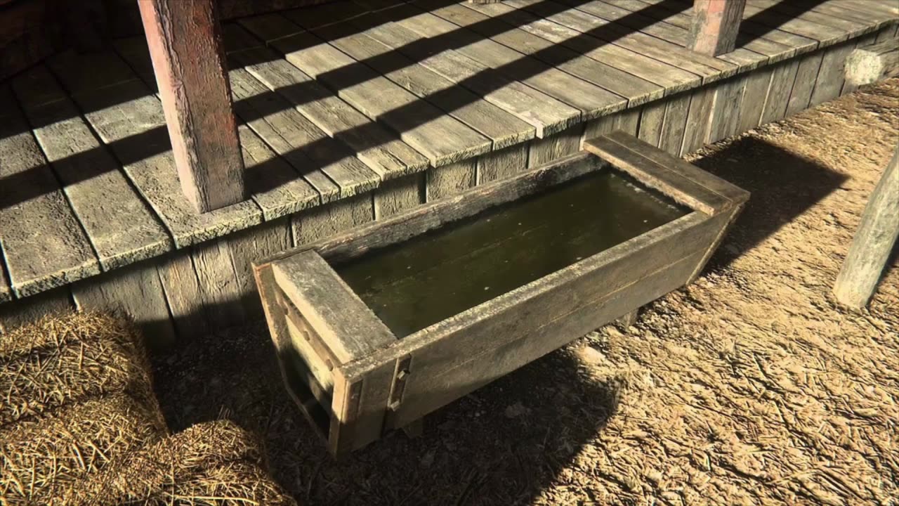 What Hygiene was like in the Wild West
