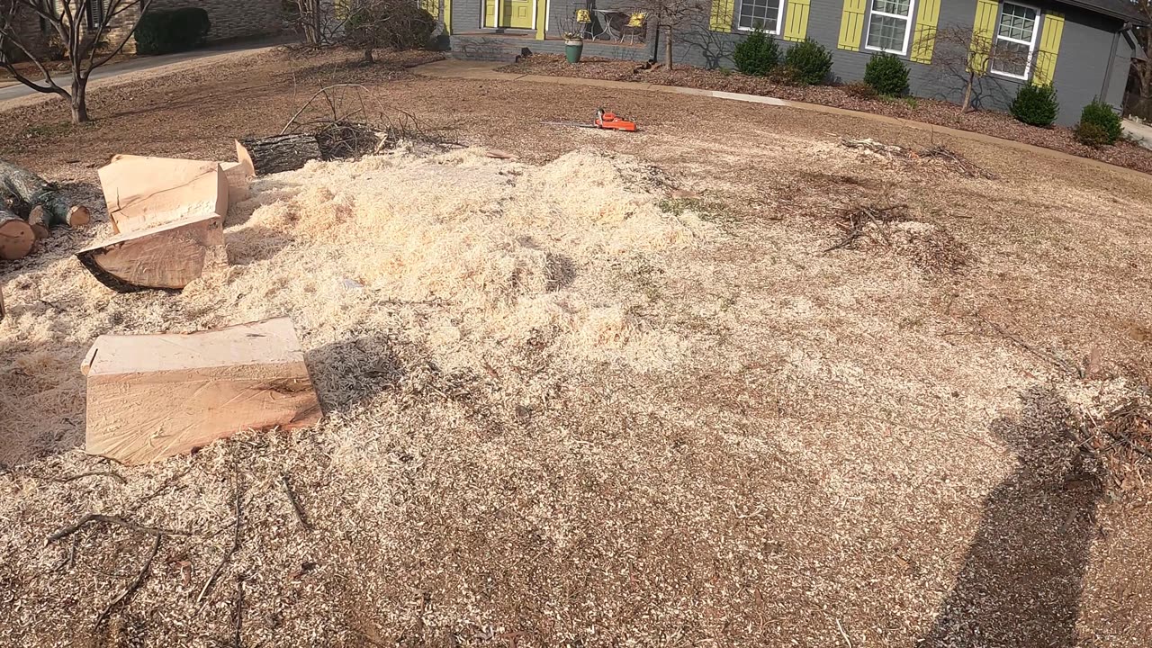 Stump Grinding four Stumps in Huntsville