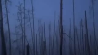 🌲🔫 Ukraine Russia War | Intense Ukrainian Combat Atmosphere in Serebryansky Forest | RCF