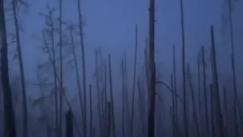 🌲🔫 Ukraine Russia War | Intense Ukrainian Combat Atmosphere in Serebryansky Forest | RCF