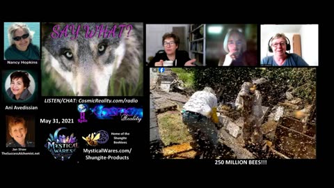 SAY WHAT 5/31/25 - Current Events including 250 Million Bees