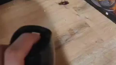 Getting Rid of a Cockroach at Home | Simple Pest Control Moment