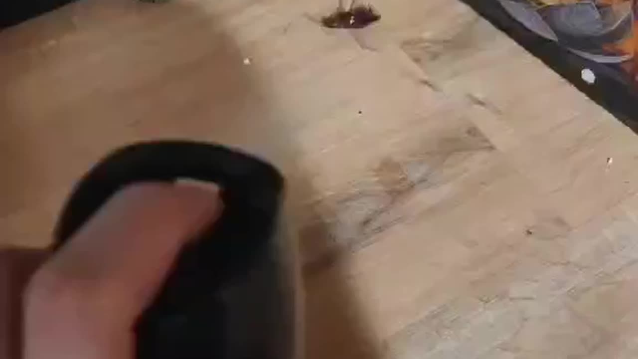 Getting Rid of a Cockroach at Home | Simple Pest Control Moment
