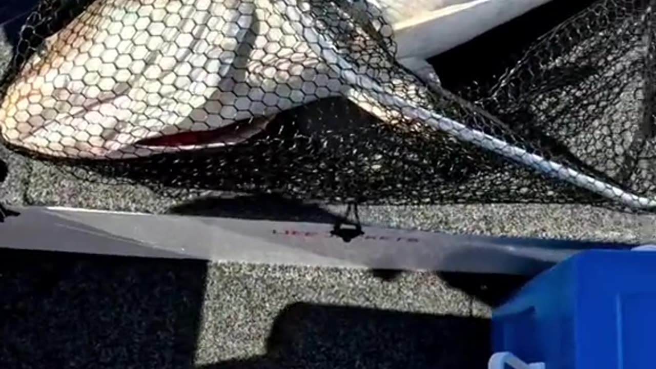 almost lose my big fish