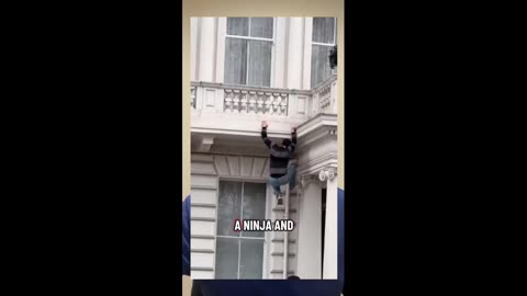 The Lion and the Sun Go Up