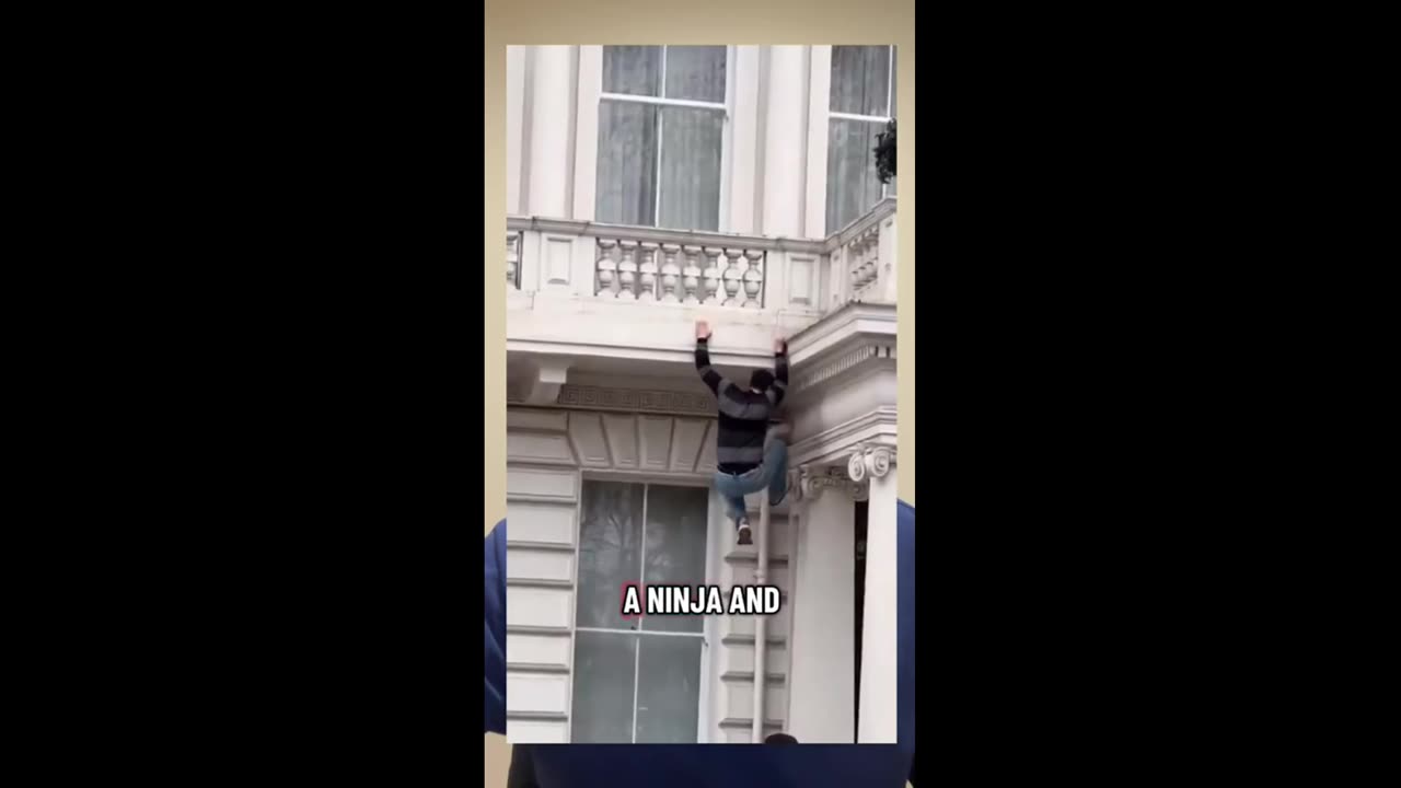 The Lion and the Sun Go Up