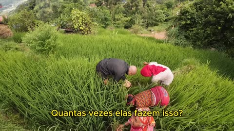 48 HORAS MORANDO COM UMA FAMILIA NEPALESA🇳🇵