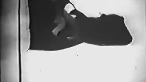 Junker der Waffen-SS (1943)