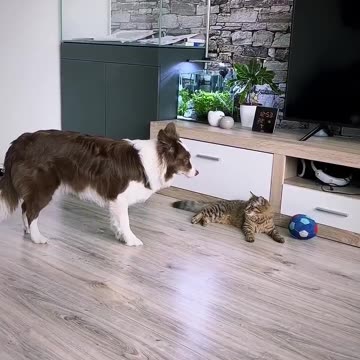 Always keep an eye on your enemy.. 😂