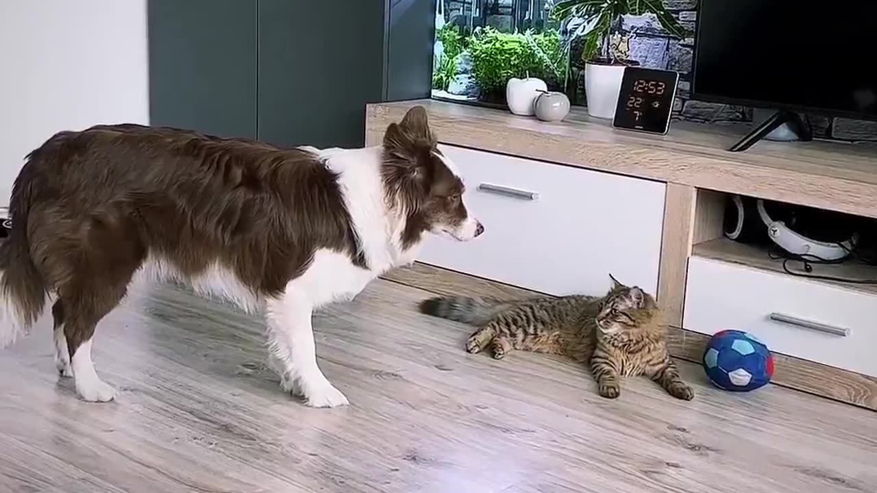Always keep an eye on your enemy.. 😂