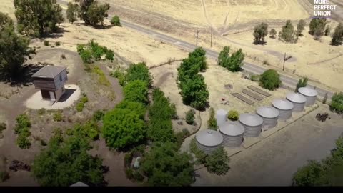 Billionaires buying land as oppression strategy