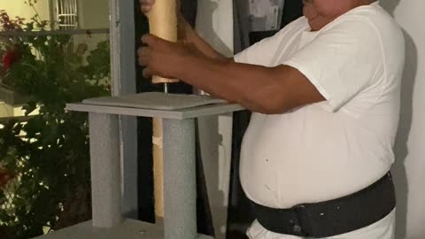 Cute Cat Spinning on Cat Tower