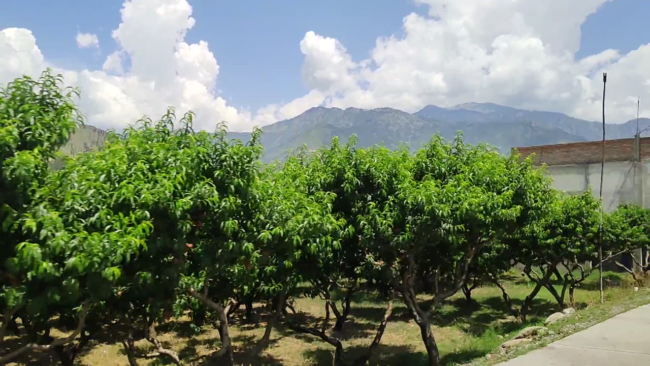 Beautiful Valley Swat Land Jannat