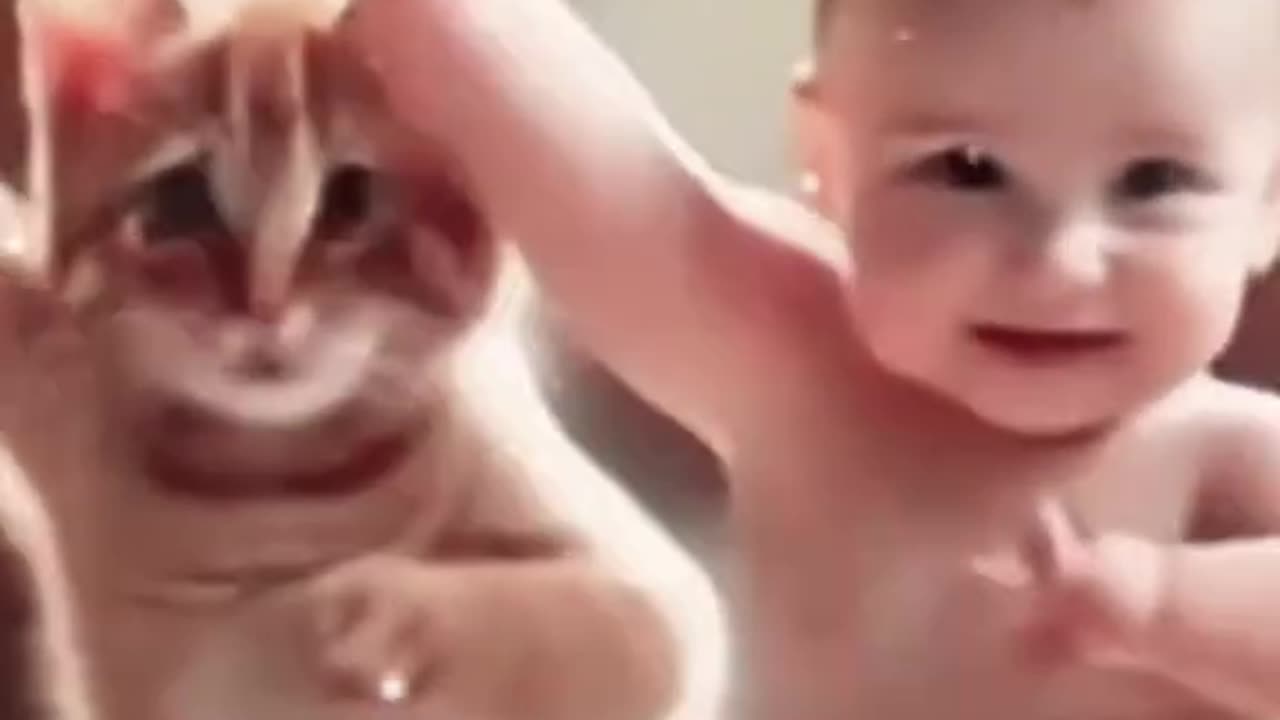 cat and beby dance