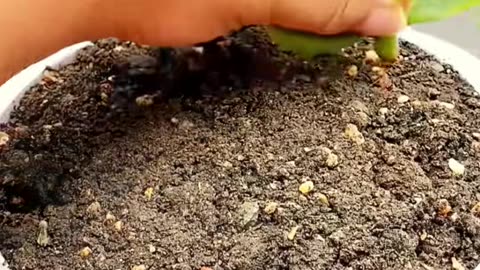 🤯✨ Transform Your Old T-Shirts into Something Amazing! | LifeHacksDaily